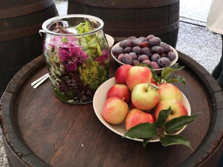 Medgeneracijske delavnice v Kačičah 7